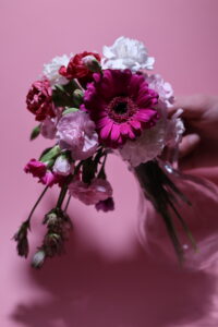 IMG_2635 (2)